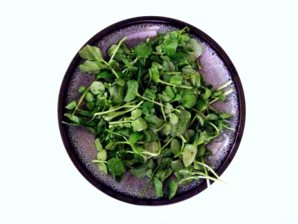 cress_large