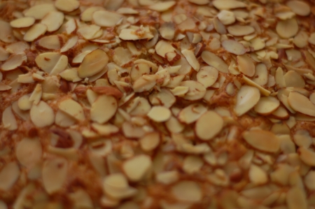 almond_cake_closeup_blossomtostem