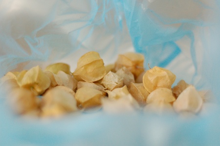 GroundCherriesBag1