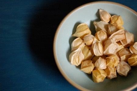 GroundCherriesBlueTable1