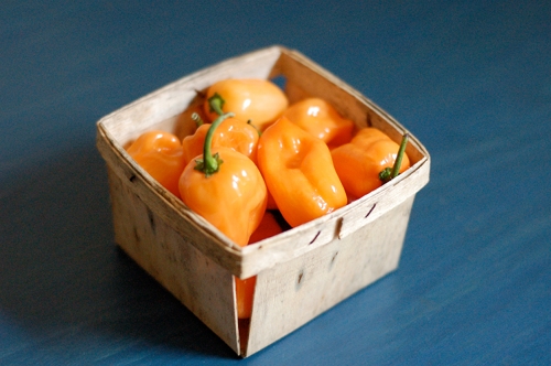 habanerobasket1